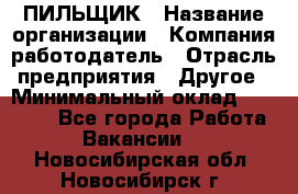 ПИЛЬЩИК › Название организации ­ Компания-работодатель › Отрасль предприятия ­ Другое › Минимальный оклад ­ 35 000 - Все города Работа » Вакансии   . Новосибирская обл.,Новосибирск г.